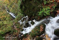 細水長流