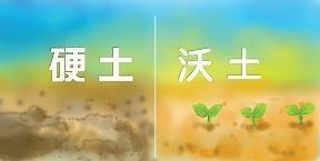 硬土與沃土