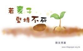 若麥子堅持不死