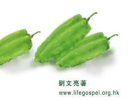 苦瓜又如何