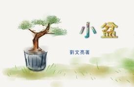小盆