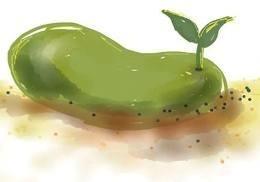 落脚点