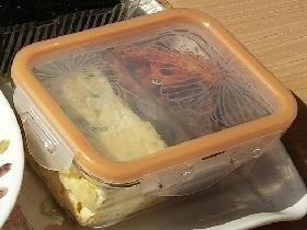 人生在世要交學費