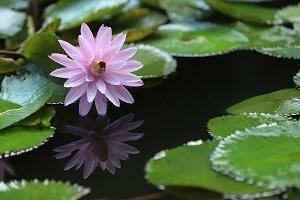 一混就濁