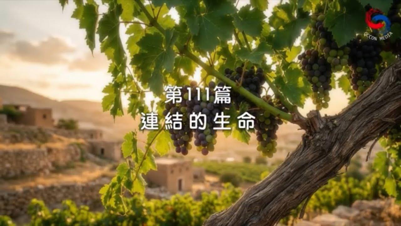 (國語)【新約啟滴】4月21日 連結的生命