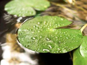竹篓打水