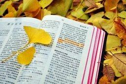 每一天去支取神的恩典